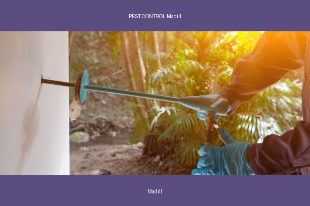 PEST CONTROL Madill